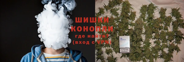 стаф Нефтекумск