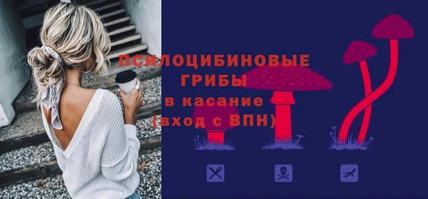 шишки Баксан