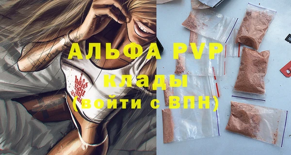 стаф Нефтекумск