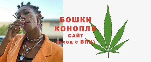 шишки Баксан