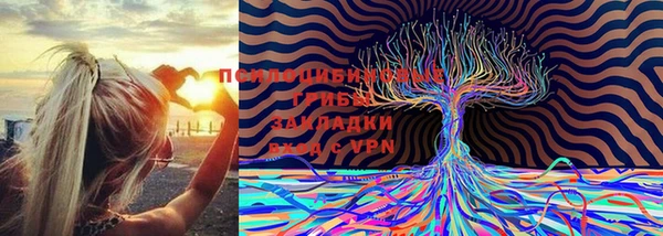 молекула духа Балахна