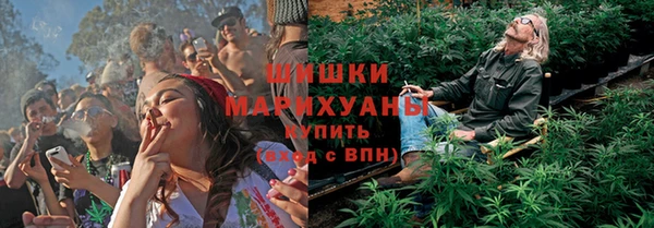 шишки Баксан